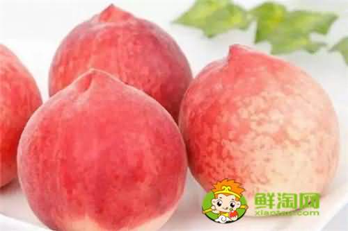 冬桃产地哪里的最好,冬桃和雪桃有什么区别 冬桃产地哪里的最好,冬桃和雪桃有什么区别