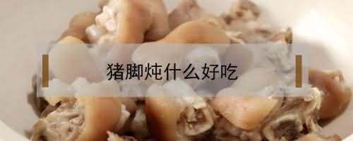 猪脚炖什么好吃 猪脚炖什么好吃