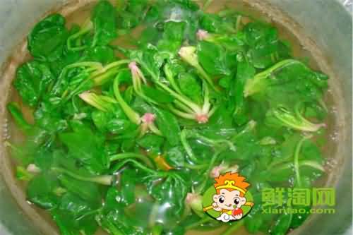 菠菜用开水烫一下能吃吗,每天吃菠菜对身体好吗 菠菜用开水烫一下能吃吗,每天吃菠菜对身体好吗