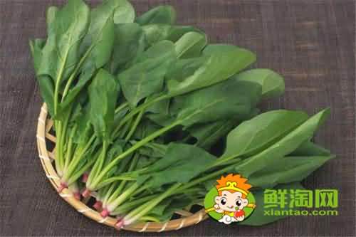 菠菜用开水烫一下能吃吗,每天吃菠菜对身体好吗 菠菜用开水烫一下能吃吗,每天吃菠菜对身体好吗