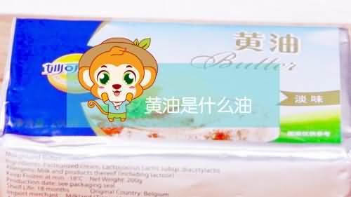 黄油是什么油 黄油是什么油