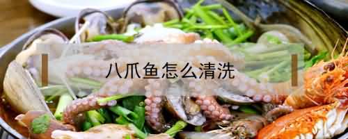 八爪鱼怎么清洗 八爪鱼怎么清洗