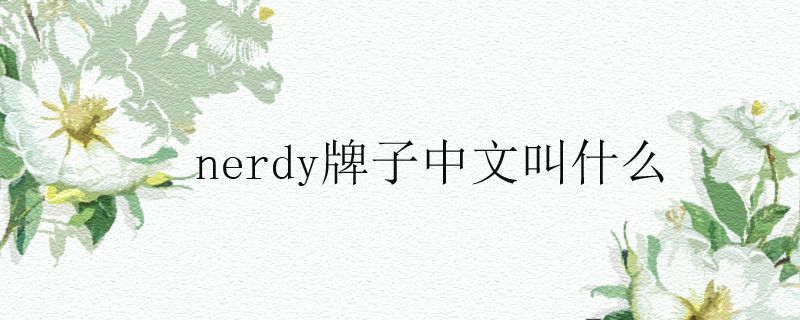 nerdy牌子中文叫什么.jpg