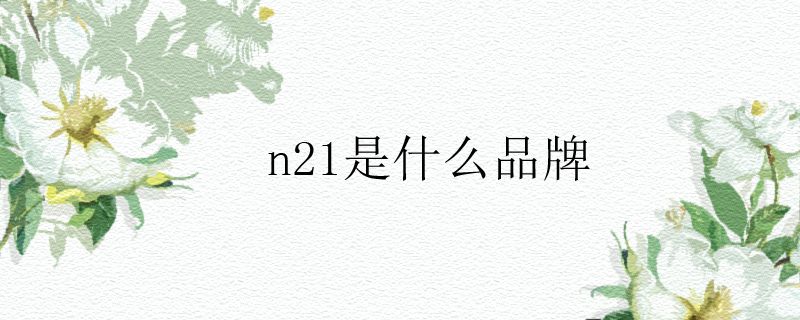 n21是什么品牌.jpg