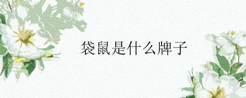 袋鼠是什么牌子.jpg