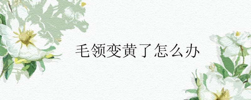 毛领变黄了怎么办.jpg