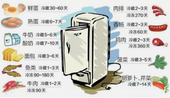 不同种类的食物应如何放置冰箱？