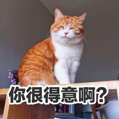 猫狗双全网络语言是什么意思？