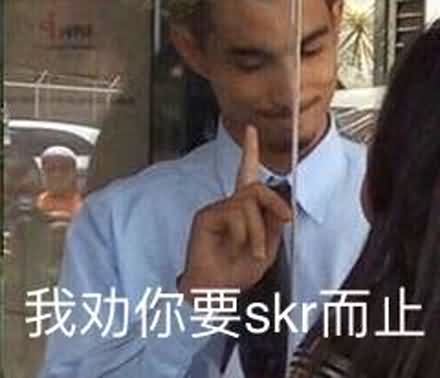 skr而止表情包