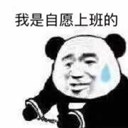 我是自愿上班的表情包