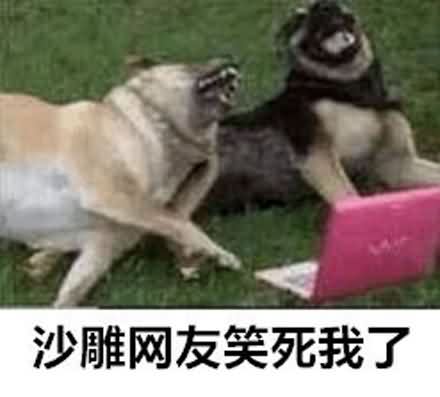 沙雕网友是什么梗？