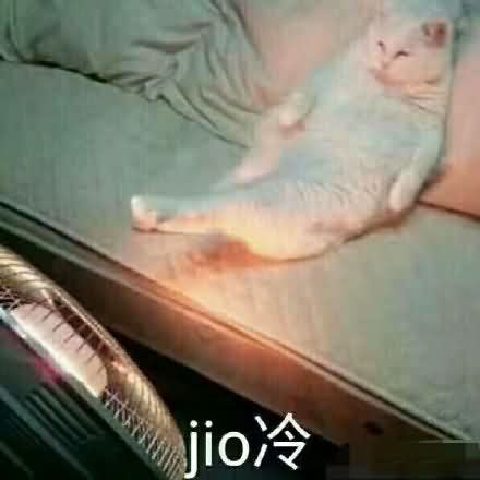 泡jio表情包