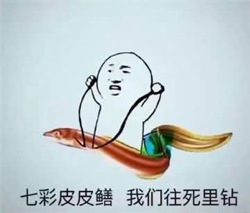 男人都是鳝变的是什么梗