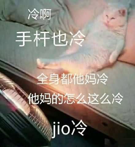 泡jio表情包