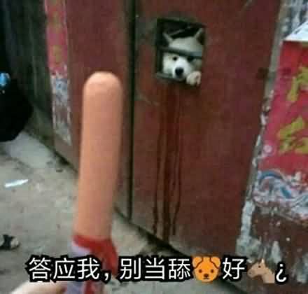 舔狗表情包