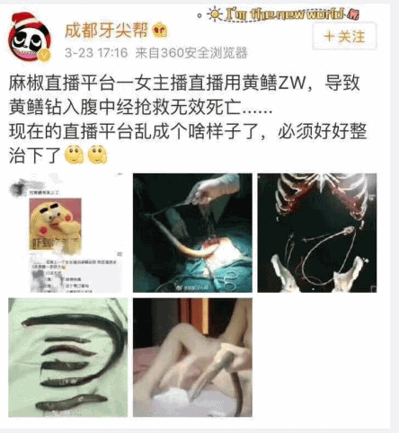 女主播黄鳝是什么梗？