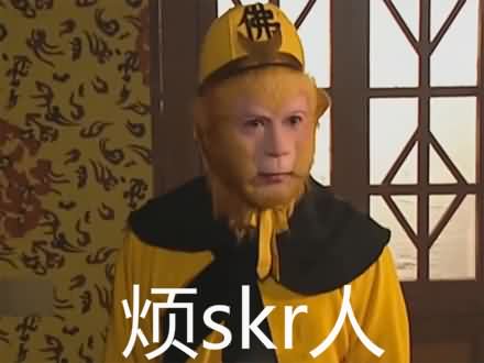 skr表情包